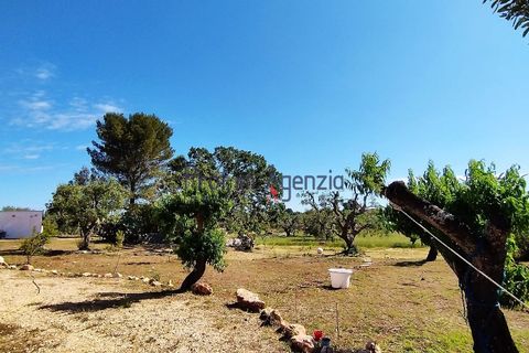 Landejendom i Carovigno, Brindisi, Carovigno - € 98.000 | Ref: 122569 - foto 21